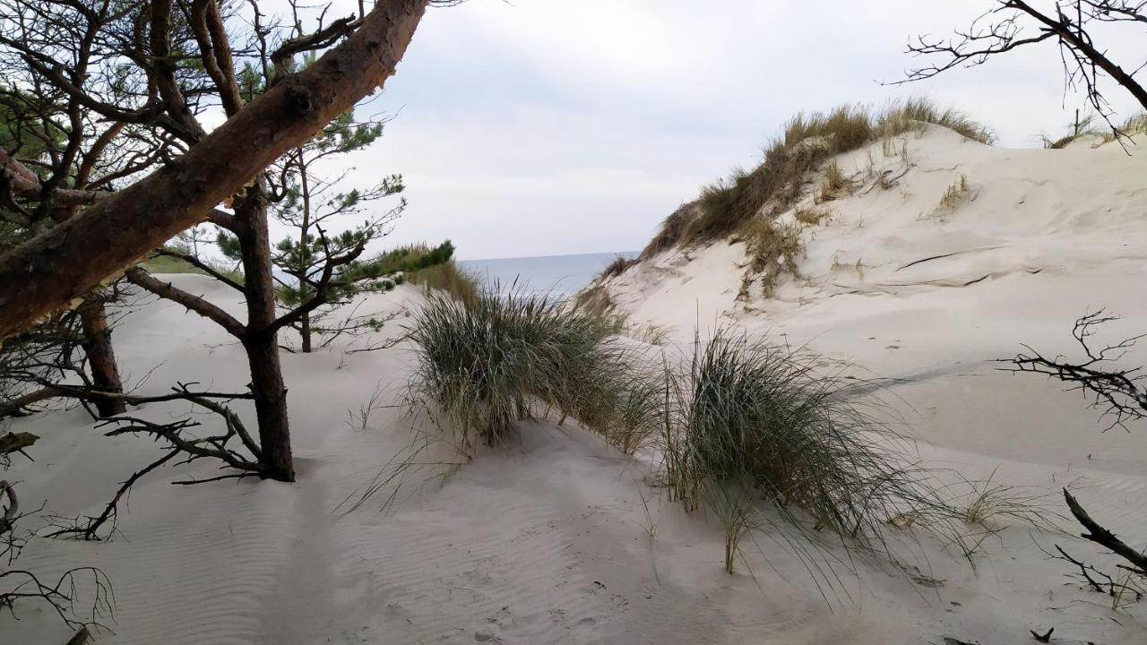 Slowinskie Widoki Domki Flora, Fauna, Noclegi Smoldzinski Las Buitenkant foto