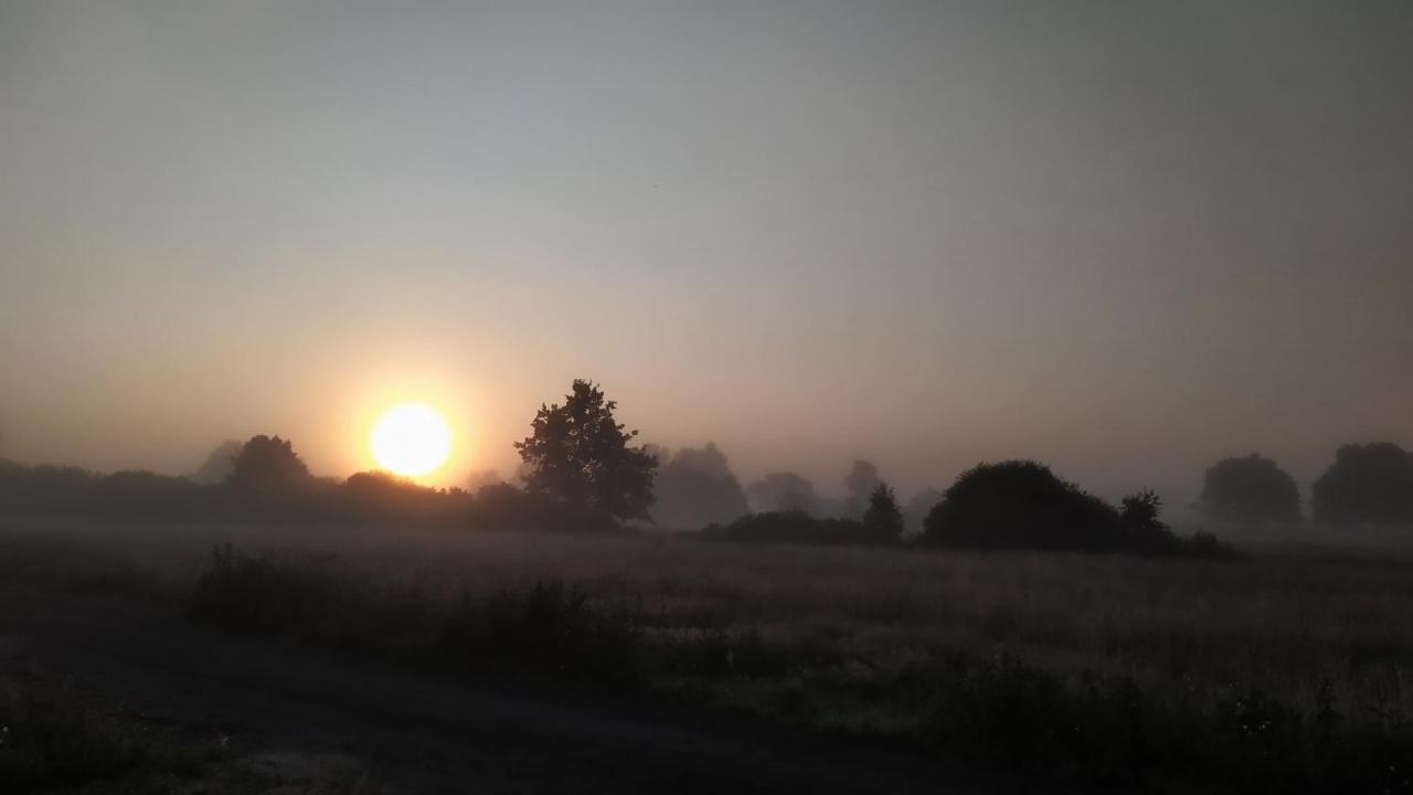 Slowinskie Widoki Domki Flora, Fauna, Noclegi Smoldzinski Las Buitenkant foto