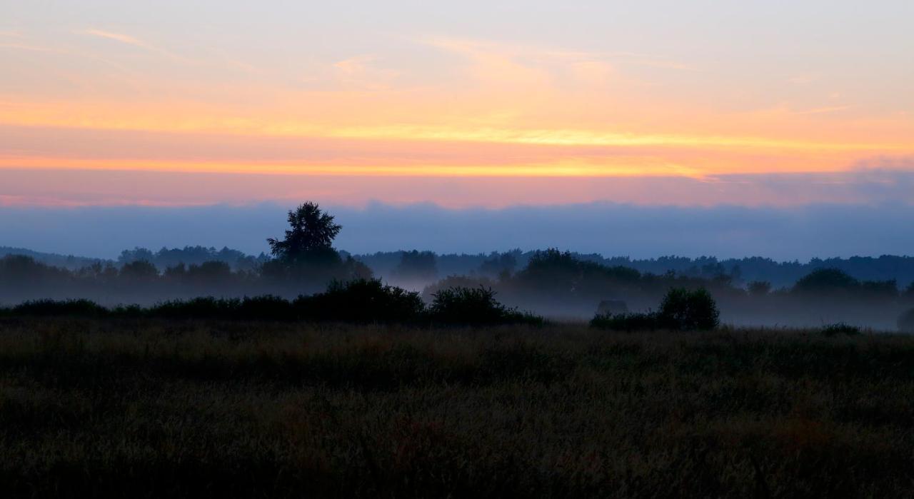Slowinskie Widoki Domki Flora, Fauna, Noclegi Smoldzinski Las Buitenkant foto