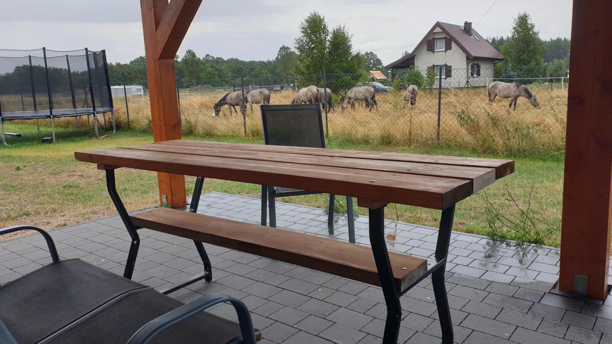 Slowinskie Widoki Domki Flora, Fauna, Noclegi Smoldzinski Las Buitenkant foto