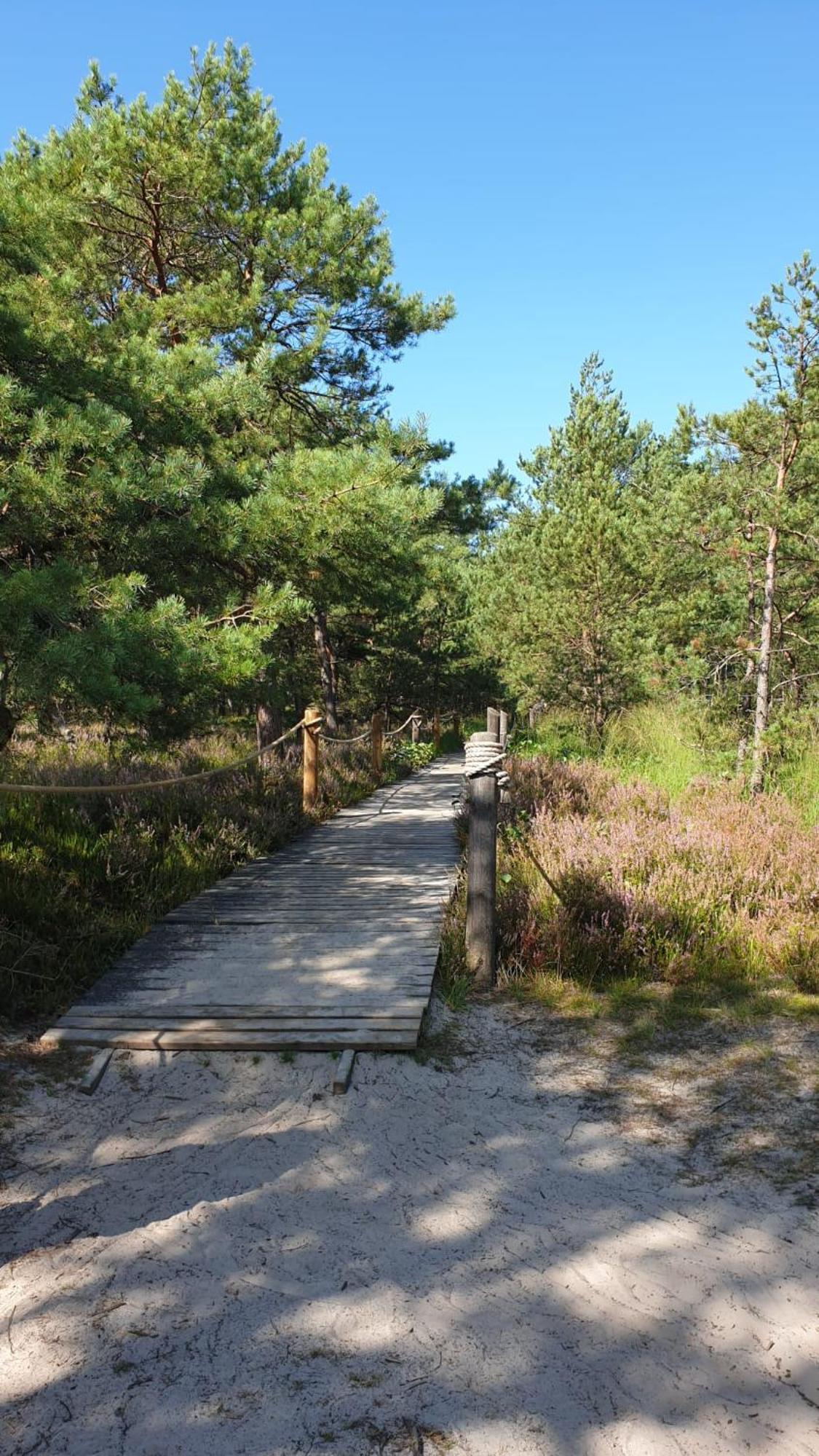 Slowinskie Widoki Domki Flora, Fauna, Noclegi Smoldzinski Las Buitenkant foto