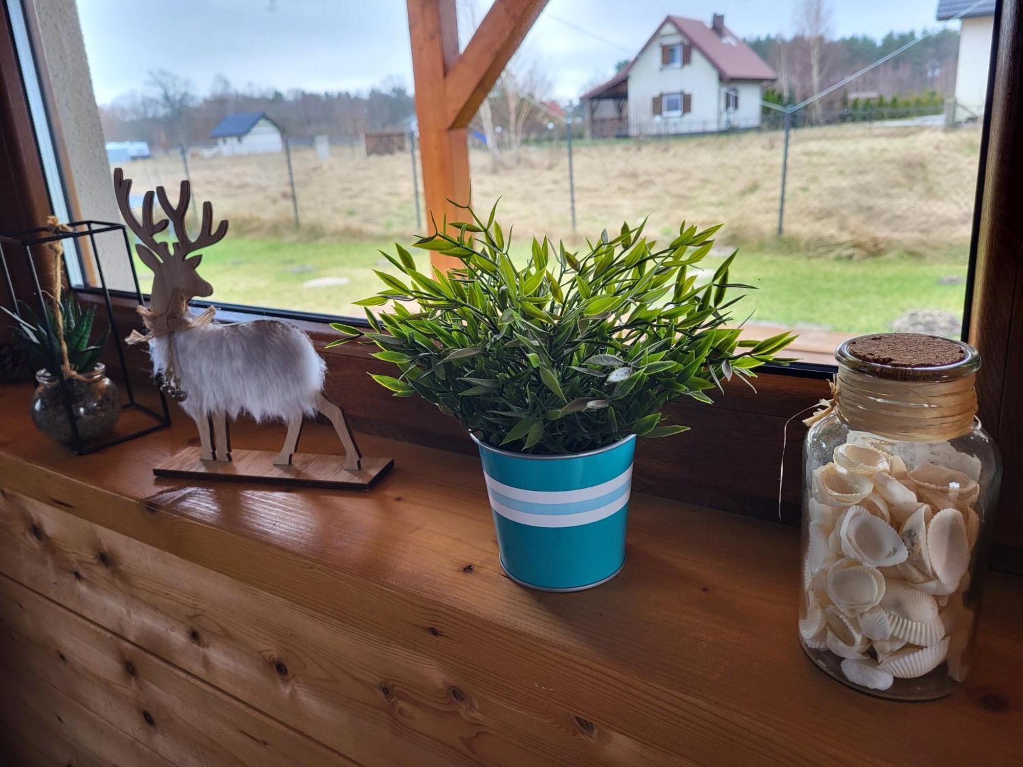 Slowinskie Widoki Domki Flora, Fauna, Noclegi Smoldzinski Las Buitenkant foto